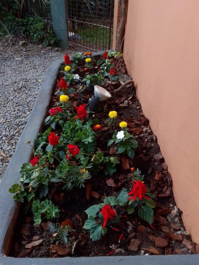 Residencial Dom Celeste Canela Pokój zdjęcie